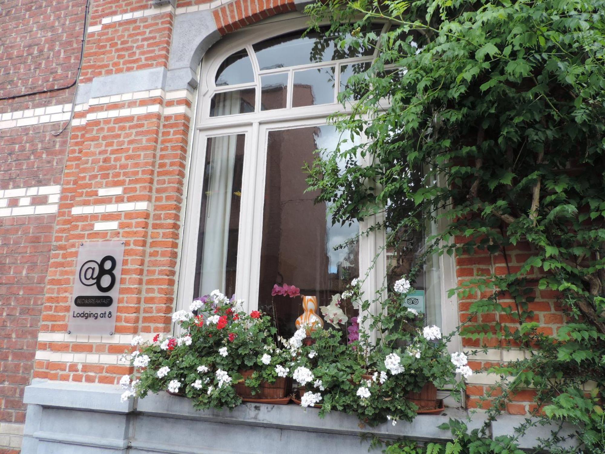 B&B Lodging At 8 Leuven Eksteriør bilde